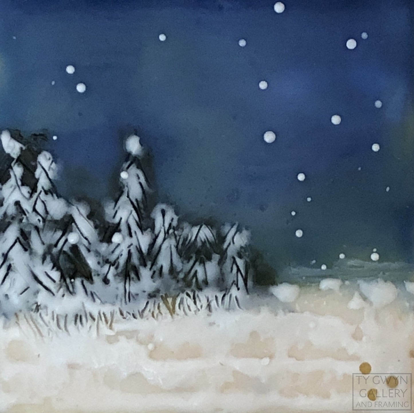 Northern Night